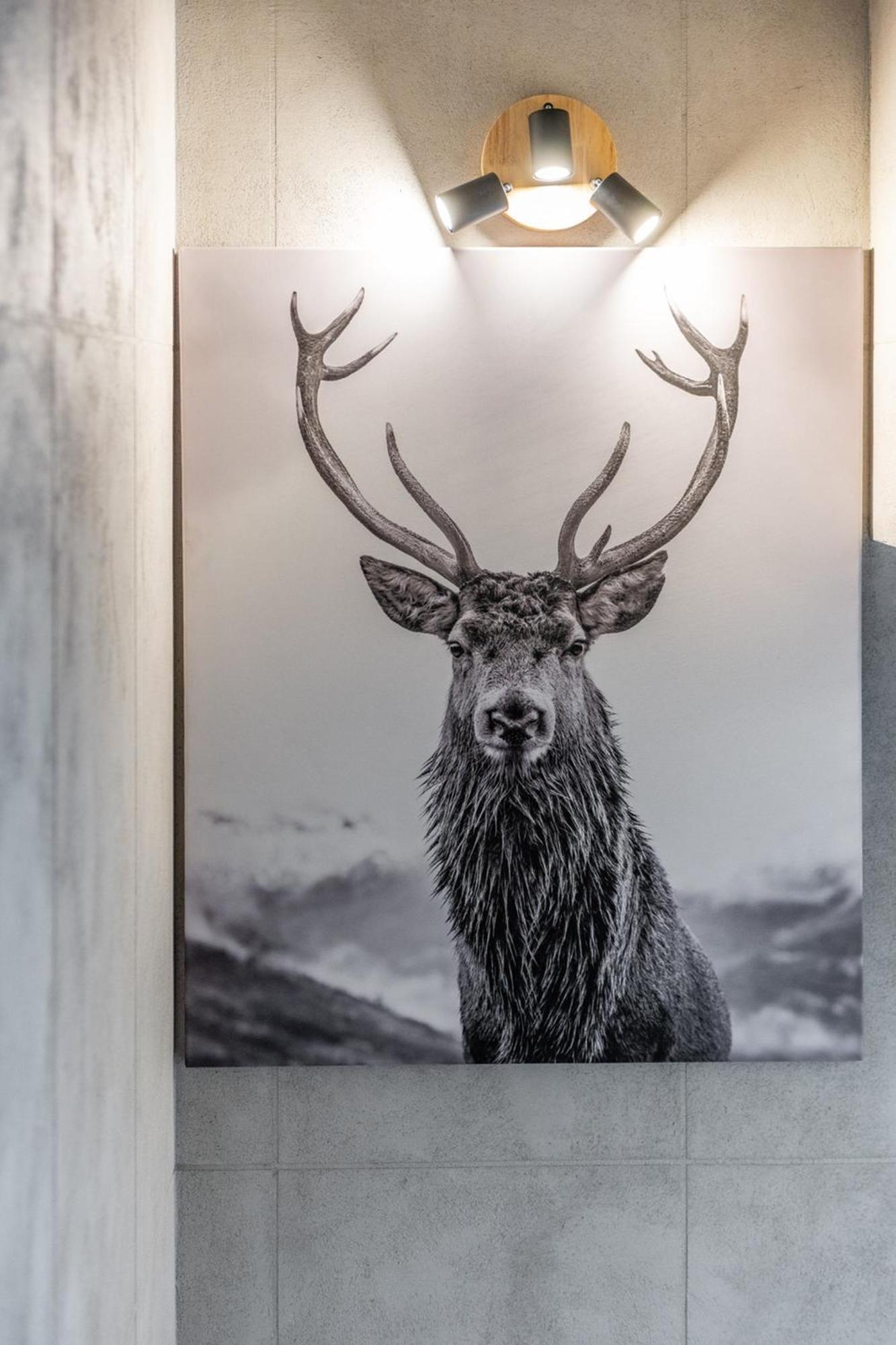 Chata Herkulesa Zakopane Exteriör bild