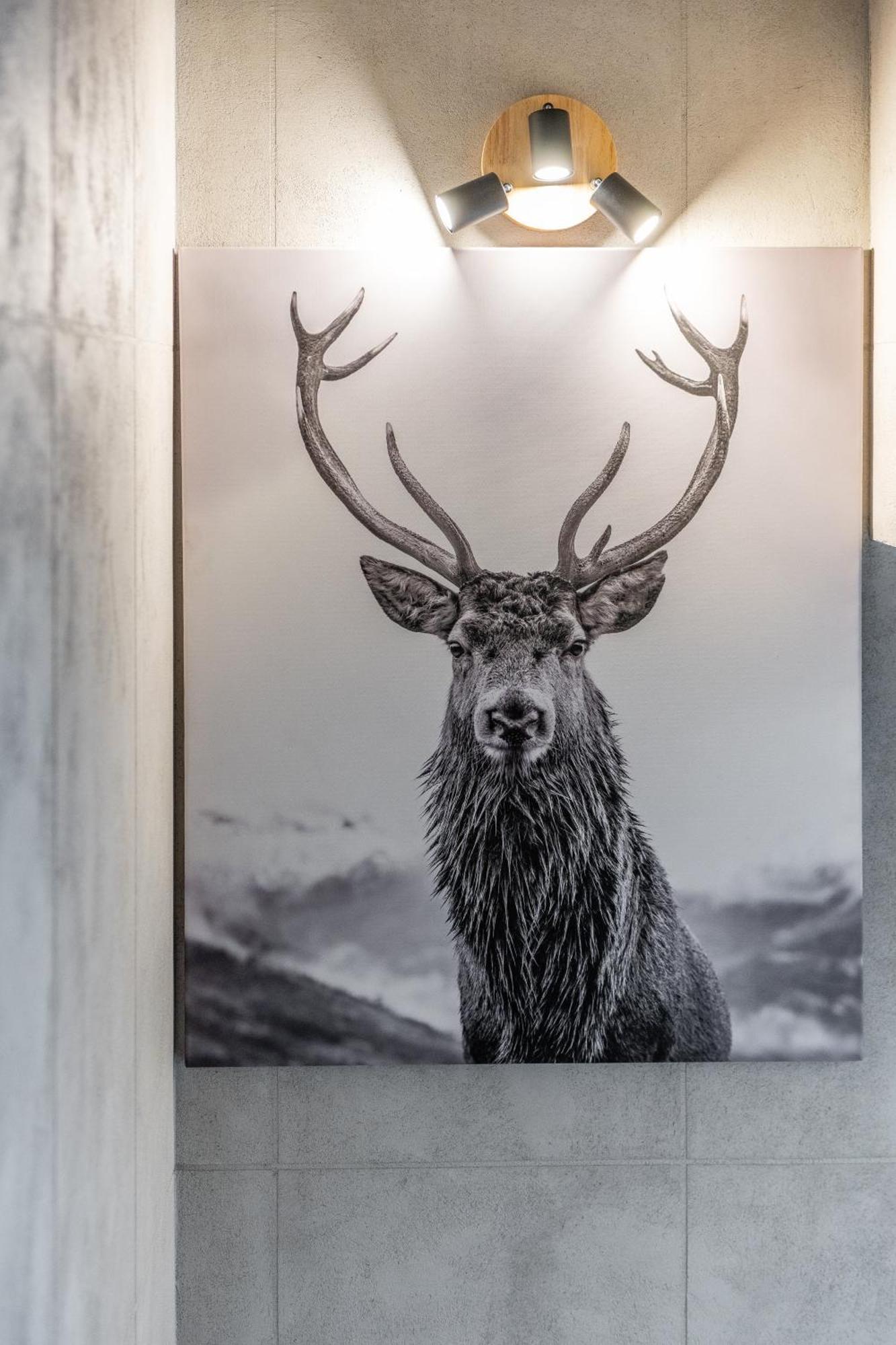 Chata Herkulesa Zakopane Exteriör bild